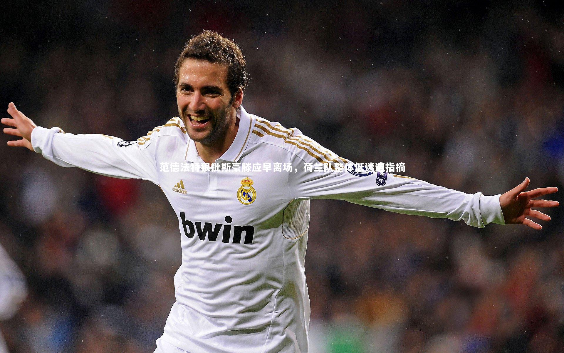 KAIYUN开云：范德法特狠批斯豪滕应早离场，荷兰队整体低迷遭指摘